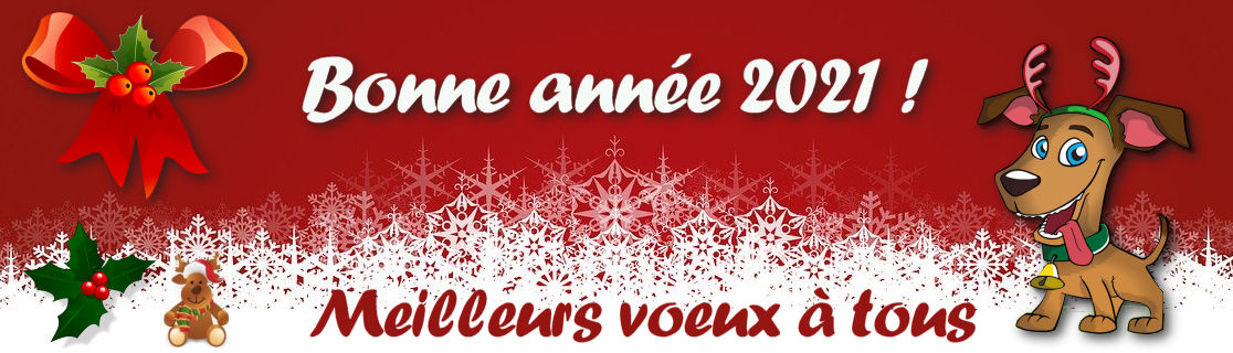 Bonne année 2021