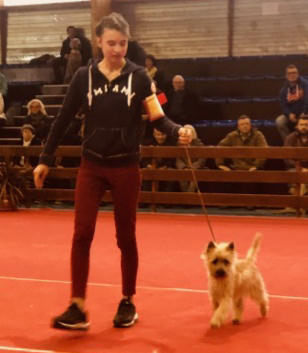 OZALIE - Expo de Cavalaire 2019