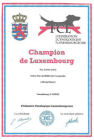 Voir le titre de Champion du Luxembourg