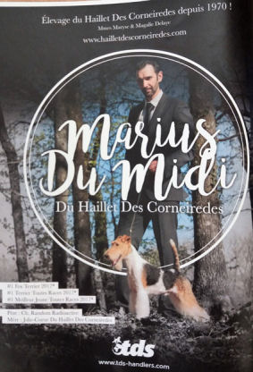 MARIUS DU MIDI