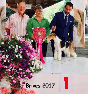 MARIUS DU MIDI - Brives 2017
