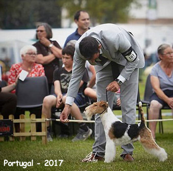 MARIUS DU MIDI - Portugal 2017