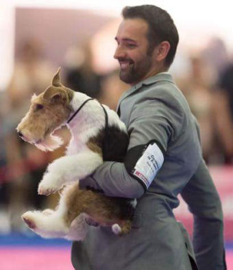 MARIUS DU MIDI ET SON HANDLER