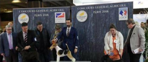 Salon de l'Agriculture 2018 Marius sélectionné pour la finale