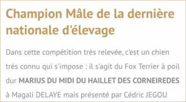 Félicitation de la Société Centrale Canine pour le titre de la Nationale d'élevage 2017